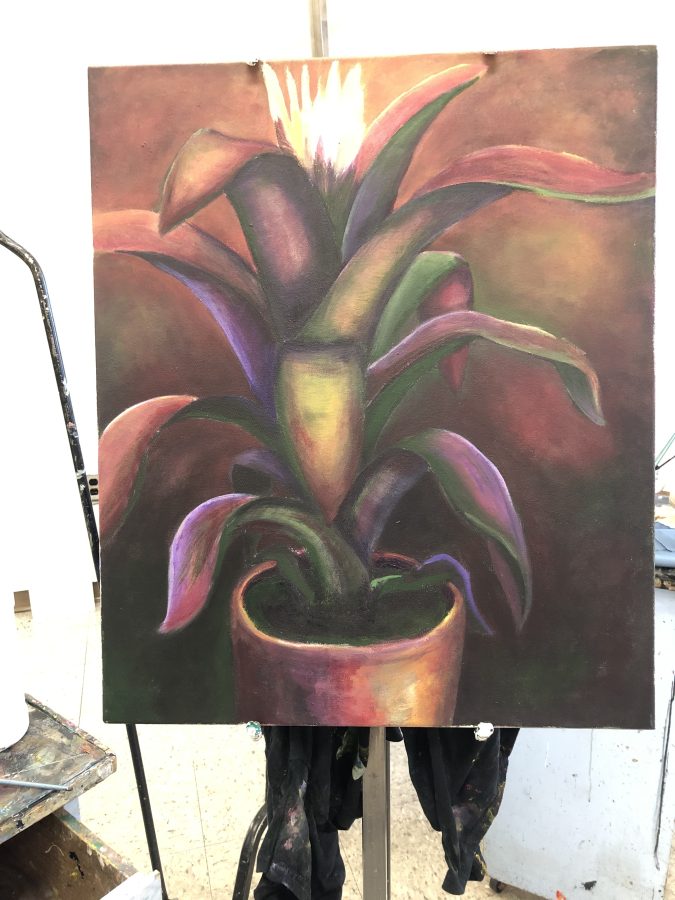 Stromanthe Tricolor Prayer Plant Painting