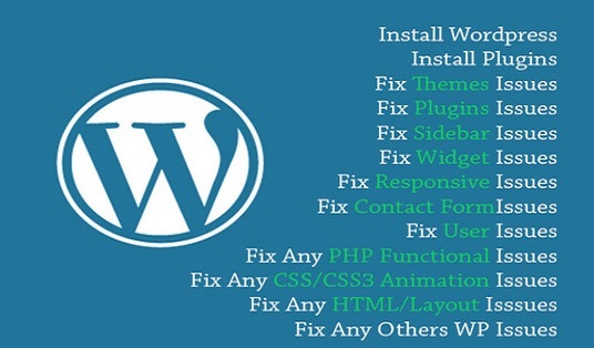 Fix wordpress issues, bugs, errors within 24 hours