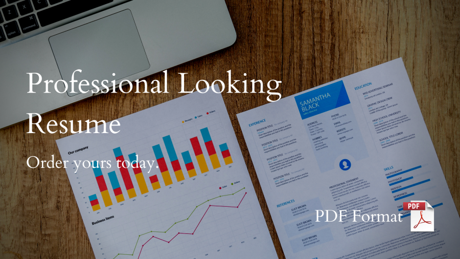 Professional Looking Resume Design
