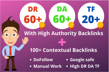 I will manual web 2 0 blog service