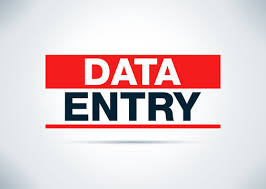 Providing services for Data entry and other surveys .