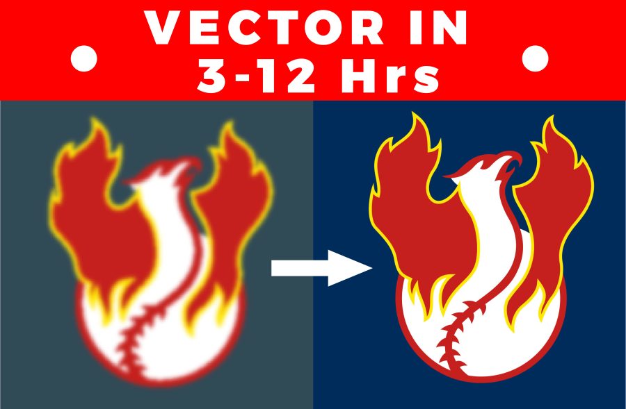 I will manually vectorize, trace any logo,image to vector