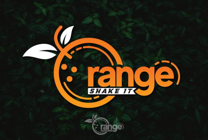 I will create a professional minimalist logo design