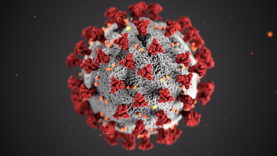 What you should know about Corona virus and how to live with it ? In paragraph 500 words 