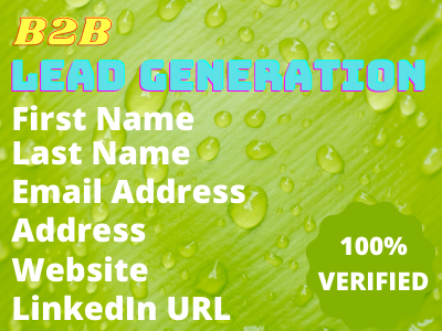 You Will get targeted b2b lead generation LinkedIn lead service (100% verified email)