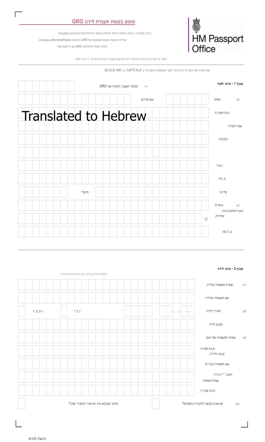 professional document translator