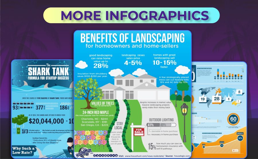 I will create awesome infographics in 24 hours