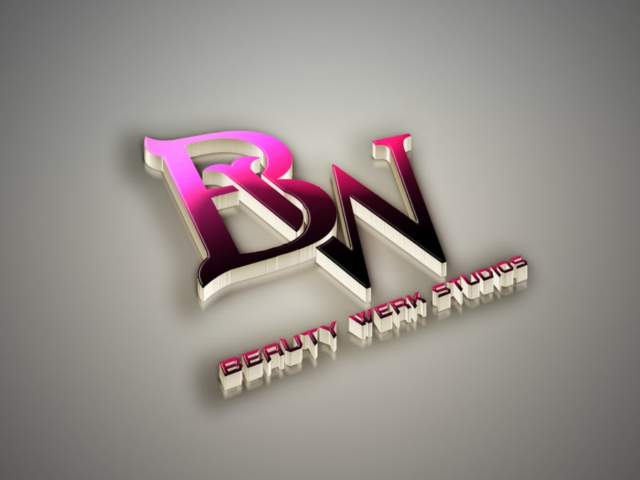 I will design your logo and brand style guide quickly - Basic