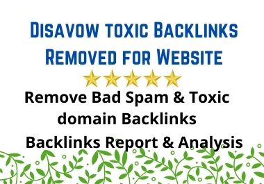 I will Remove Disavow Toxic Backlinks for Website