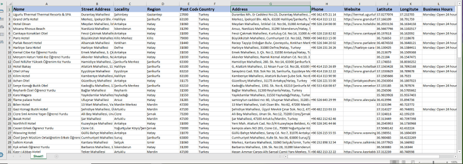 I will scrape google maps for places data