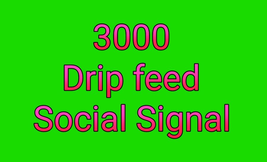 Manually high quality drip feed 3000 best quality seo social signals for 10$