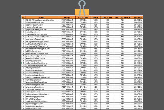 I Will Collect 3k Niche Targeted Bulk Email List