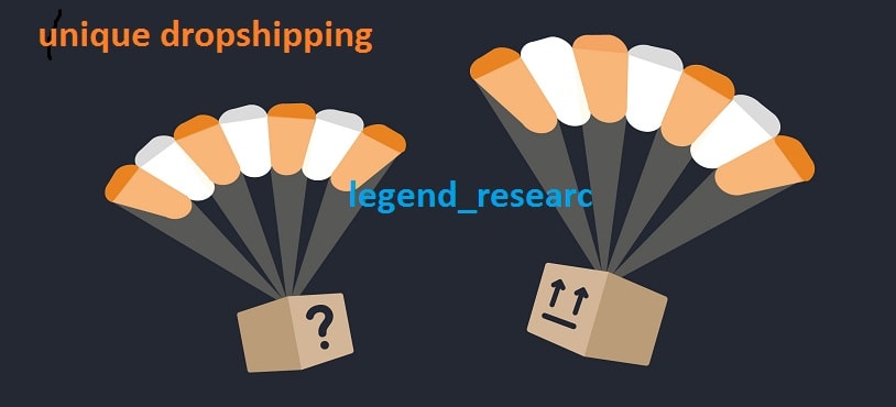I will research highly profitable and cheapest dropship niche with dropshipper