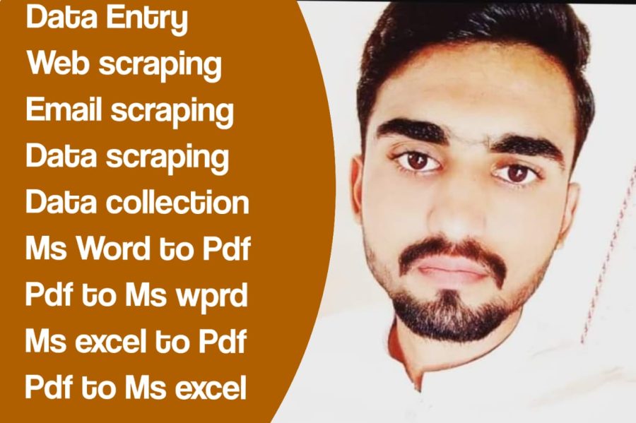 I will do fast all types of data entry work