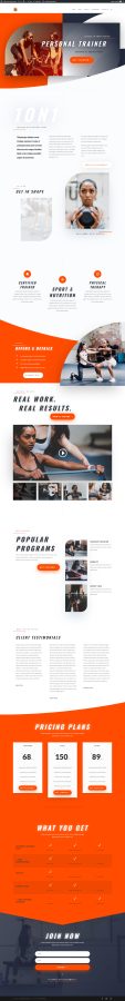 I will copy, clone, duplicate wordpress website design using divi, astra pro, elementor