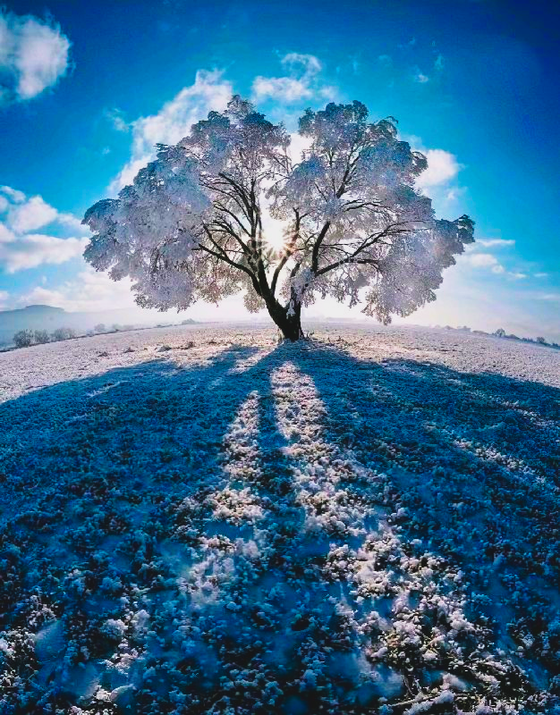 I am best photographer I make High quality photos, images etc.