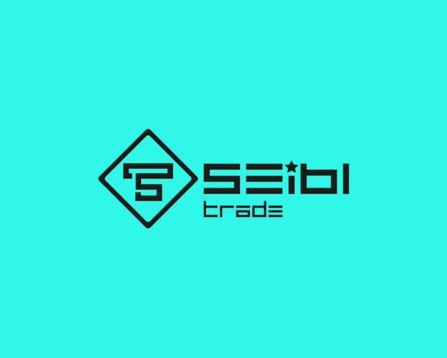 I will create modern creative trendy business logo design