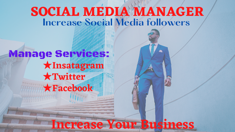 I Will be Your Professional Social Media Manager!