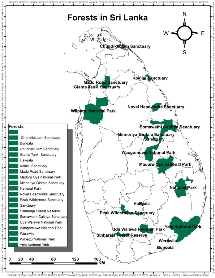 I will do ArcGIS, web gis, web mapping and spatial analysis