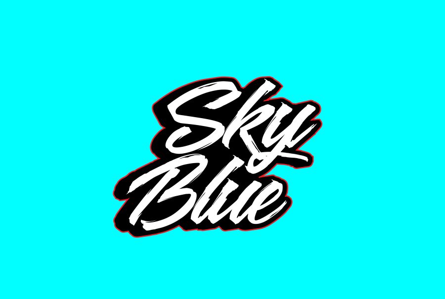 I will do handwritten typography and hand lettering logo design