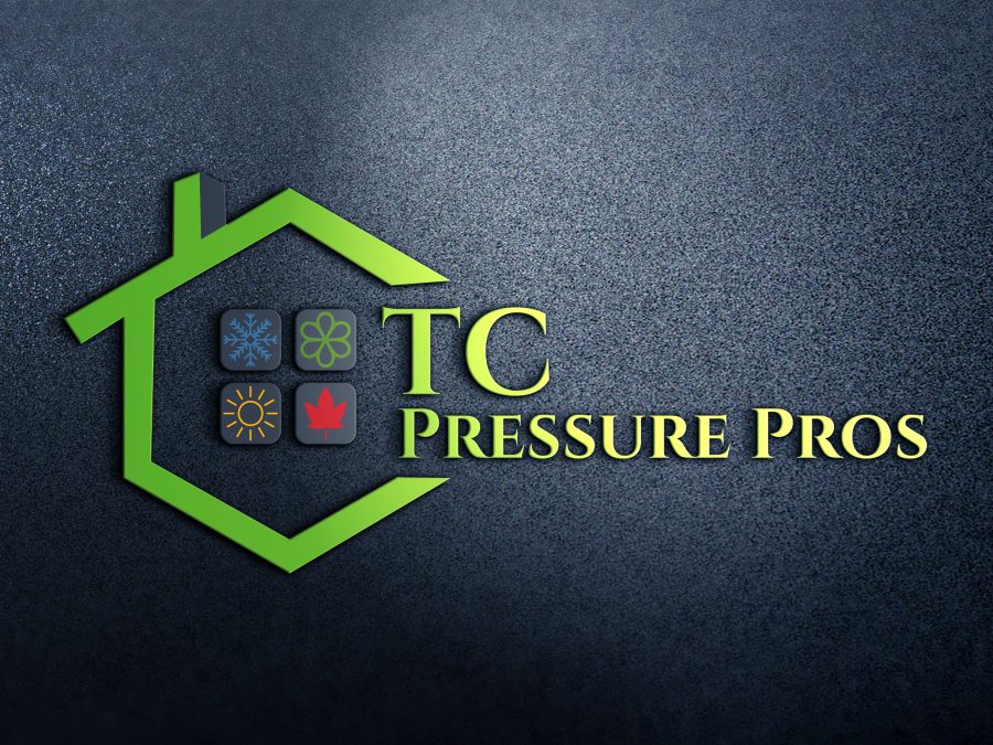 I will do outstanding business or company logo design