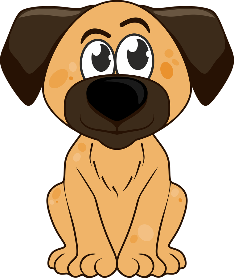 Pet Grooming vedio site builder 