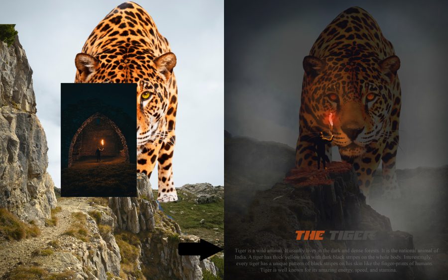 I will do photoshop editing, realistic photo manipulation