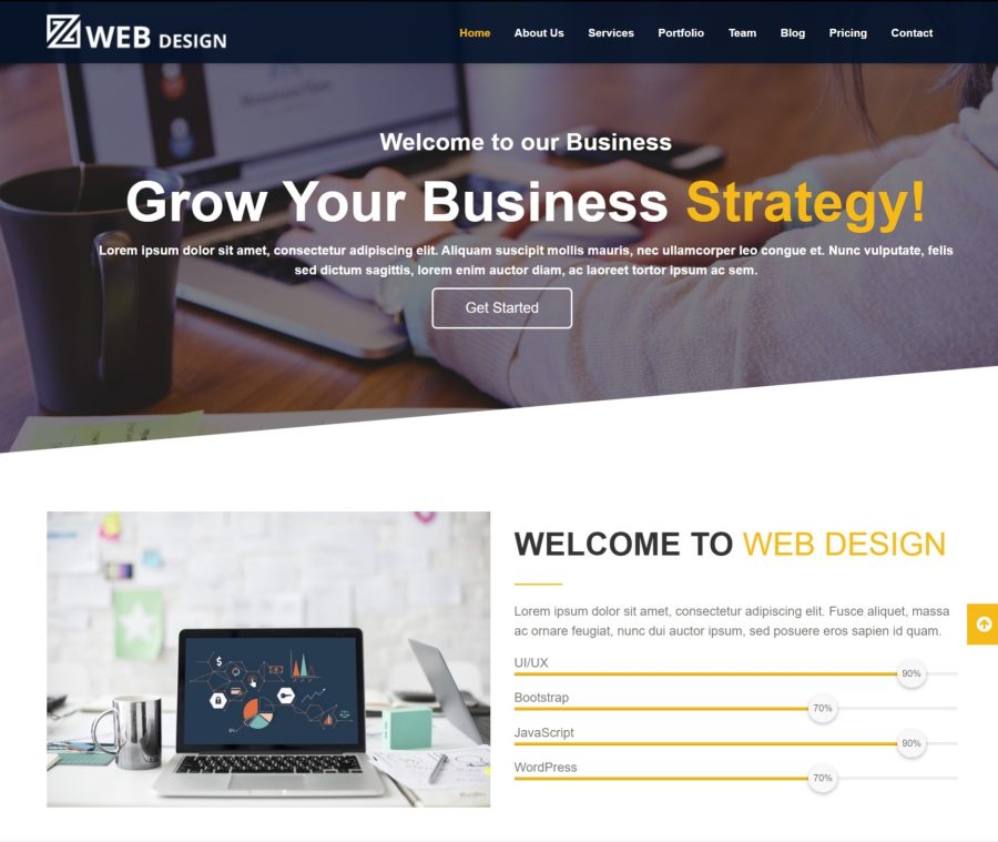 Wordpress Developer And Website Designer