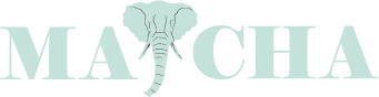 I will do the best minimalist logo for you