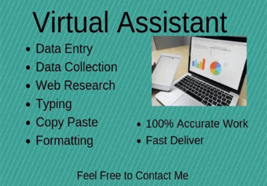 Data Entry, Web Research, Copy Paste