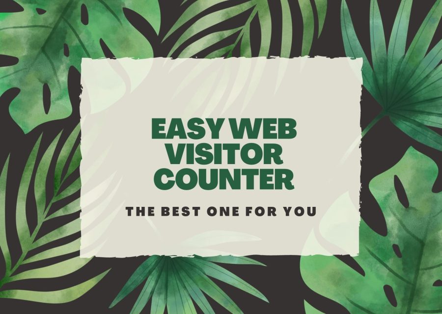 Easy Web Visitor Counter, Helps you find out how many have visited your webpage