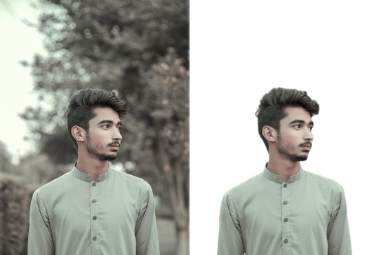 I will background removal 100 images professionally