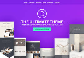I Will Install Your Wordpress Website and the theme of your choosing + Hosting help