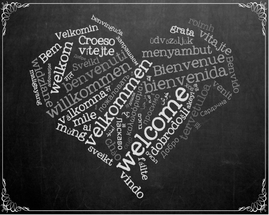 We will Translate from English to Spanish,Chinese,German,French,Italian,Portuguese,Japanese,Korean.