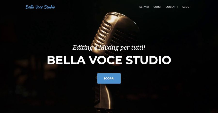 I will build your website by the end of this week