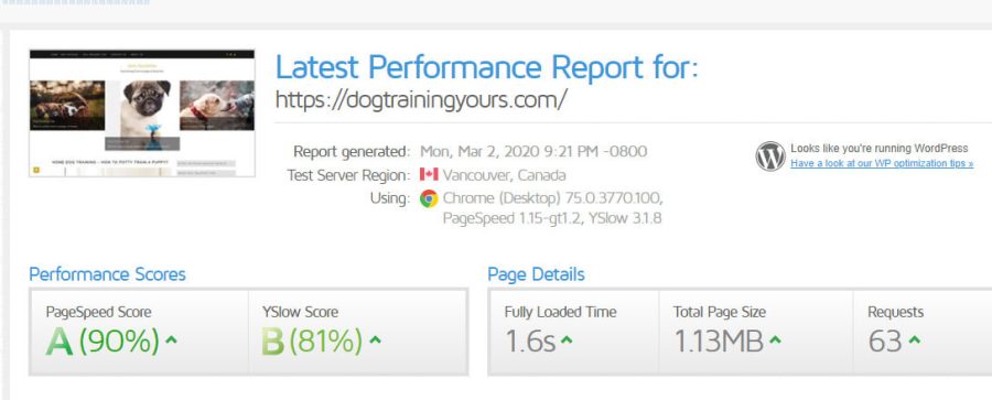 I will optimize wordpress speed improve load time