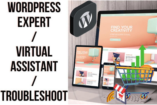 I will be a wordpress expert, virtual assistant or troubleshoot wordpress website