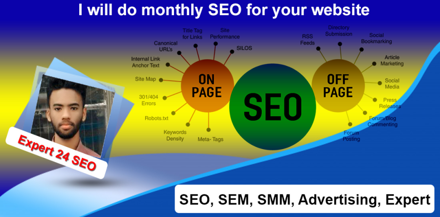 I will do full monthly SEO for your website
