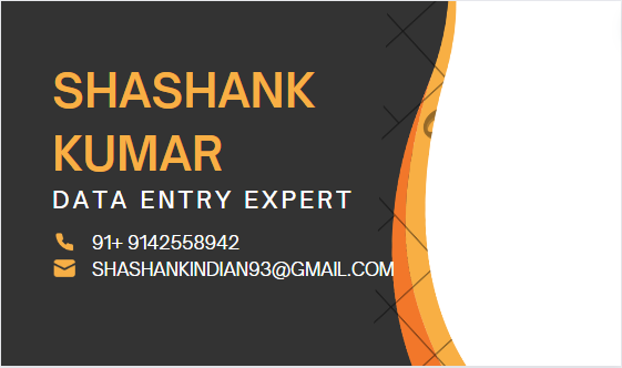 Data Entry Expert: Streamlining Information Management with Precision and Efficiency