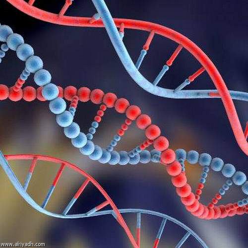 Nucleic Acid Testing Market Trend, Outlook 2025 