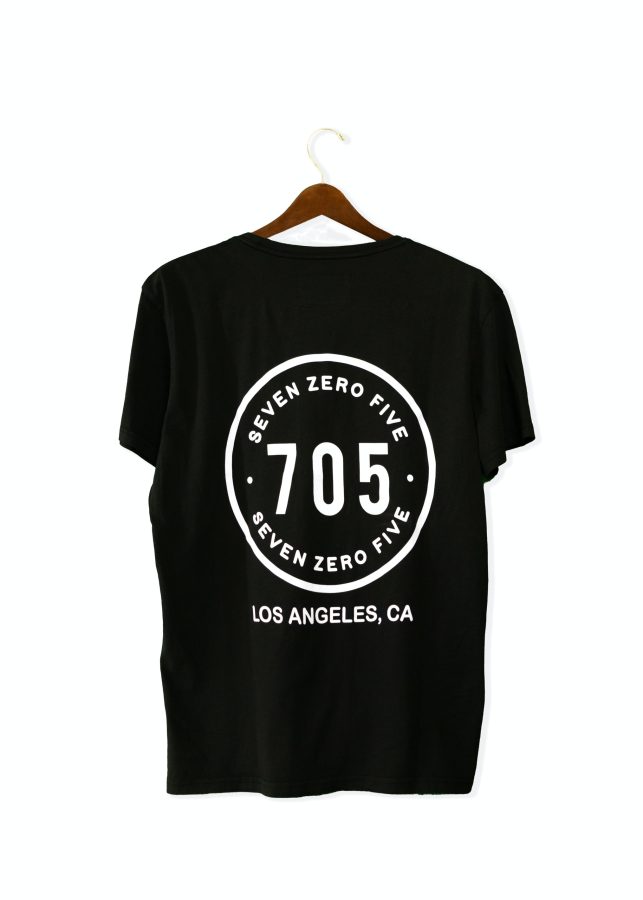 I will design a professional minimalist and flat logo, T-shirts print design & stickers.