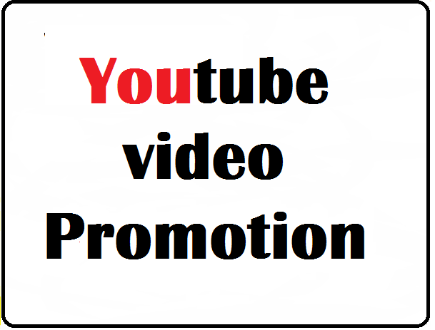 I will do Organic YouTube video promote