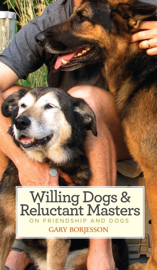 An article titled Things You Should Do With Your Dog While Filming COVID Has Over 500 Words