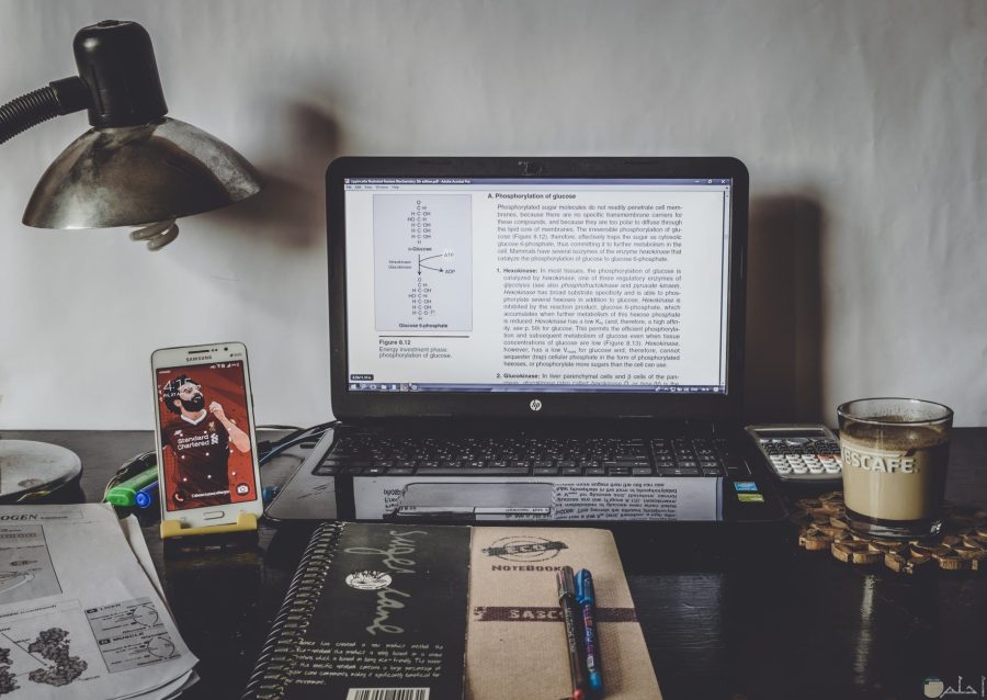 Writing an exclusive article consisting of 700 words or more ,with high quality.