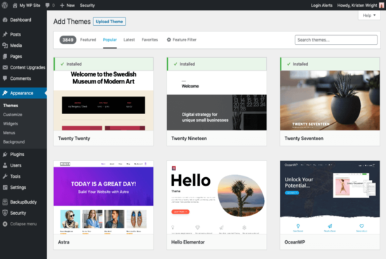 I will fix wordpress issues, error, bugs, in 5 hours