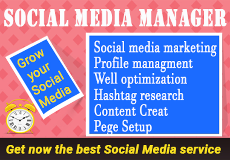 Social media marketing manager and Virtual assistant
