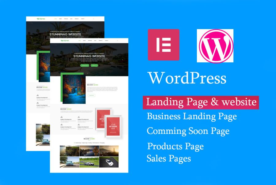 I will create a modern responsive wordpress landing page or home page