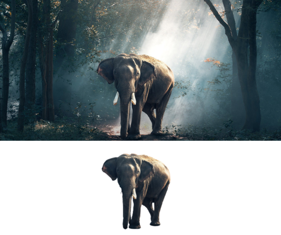 I will remove background from 20 image professionally in 4 hours