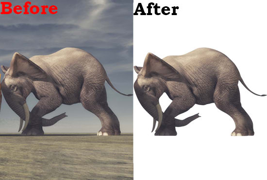 I will do 20 to 30 photos background removal 