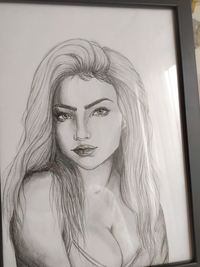 I will do professional sketch and illustration